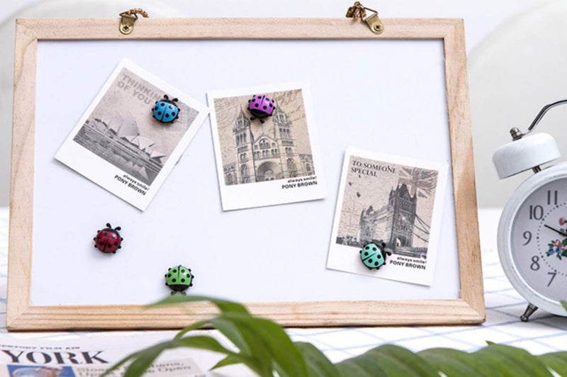 TabEnter Decorative Refrigerator Magnets, Perfect Fridge Magnets for House Office Personal Use (12Pcs Ladybug) - Image 2